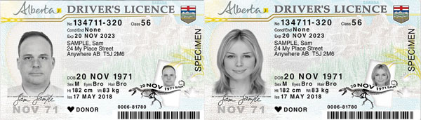 how much is a class 1 license in alberta