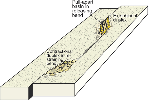 Extensional and contractional duplexes.