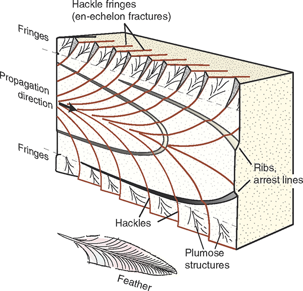 Features on a fracture propagation surface.