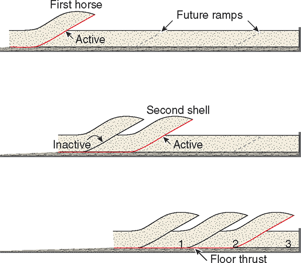 The horses get younger towards the foreland (right) in the sequence thrusting model. Anything different would be considered as out of sequence.