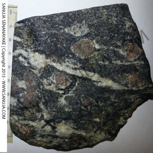 Transitional Amphibolite-Granulite