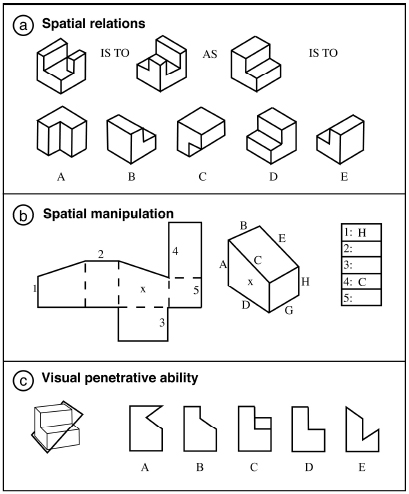 spatial sanuja worksheets senanayake