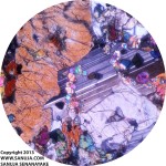 Plagioclase with Olivine inclusions - XPL II
