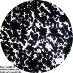 Chromite (cumulaus); Muscovite (intercumulaus)-PPL