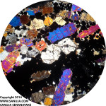 Enstatite (Cumulus) Cpx & Plagioclase (Intercumulus)-4x-xpl