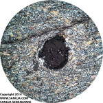 Garnet porphyroblast with Muscovite, Plage, Quartz and Biotite - 4x XPL (~5mm across)