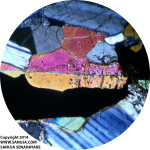 Inverted Pigeonite (1) - XPL