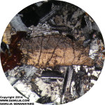 Inverted Pigeonite - 10x XPL (~2.0mm across)