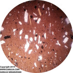 Trachytic (Trachytordal) mineral alignment - XPL