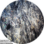Wollastonite - 2x XPL (~11 mm across)
